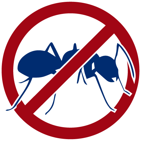 Ants - No To Envy (448x449), Png Download