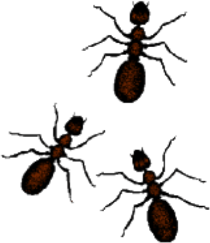 Ants Clipart Easy - Arthropod Arthropod Arthropod Square Sticker 3" X 3" (430x500), Png Download