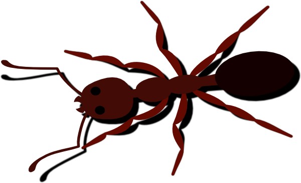 Small - Ant Clip Art (600x364), Png Download