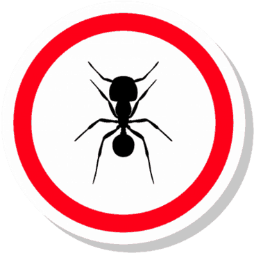 Ants - Ant (400x400), Png Download