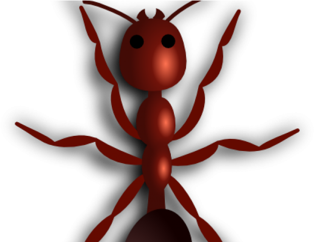 Drawn Ant Fire Ant - Ant Clip Art (640x480), Png Download