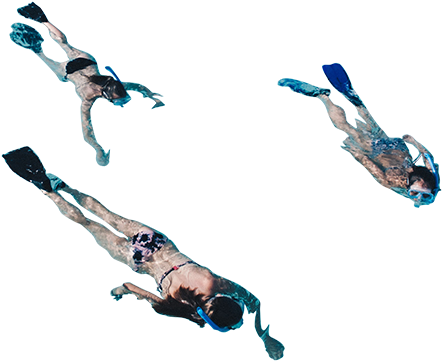 People Swimming Png - People Swimming Png Architecture (561x480), Png Download