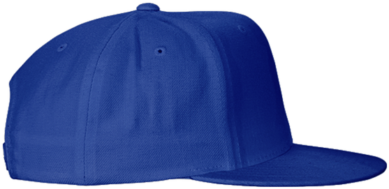 Vault-tec - Better Bodies Flat Bill Cap - Black (600x600), Png Download