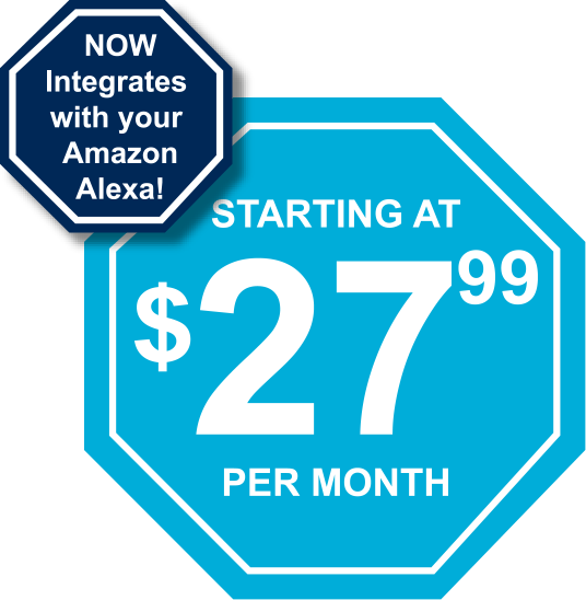 Home Security Systems Company In Tampa, Adt Accredited - Viewsonic Vx3276 2k Mhd Review (536x548), Png Download