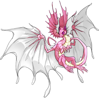 Madoka 8729992 350 - Dragon (350x350), Png Download