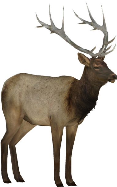55, January 26, 2015 - Elk Png (606x606), Png Download