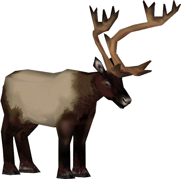 Roosevelt Elk M - Roosevelt Elk (703x703), Png Download