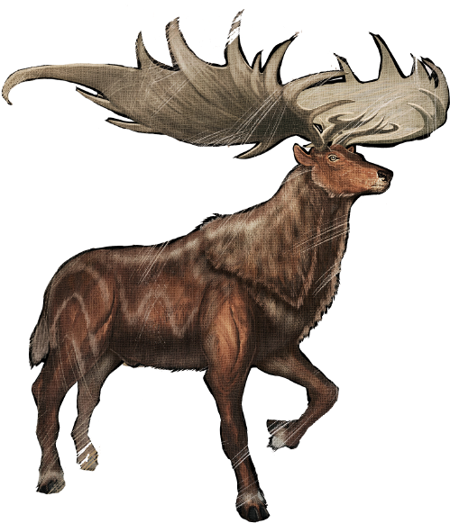 Megaloceros Megaloceros Giganteus - Ark Megaloceros (550x599), Png Download