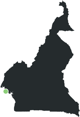 Carte Du Cameroun - Cameroon Map Vector (320x420), Png Download