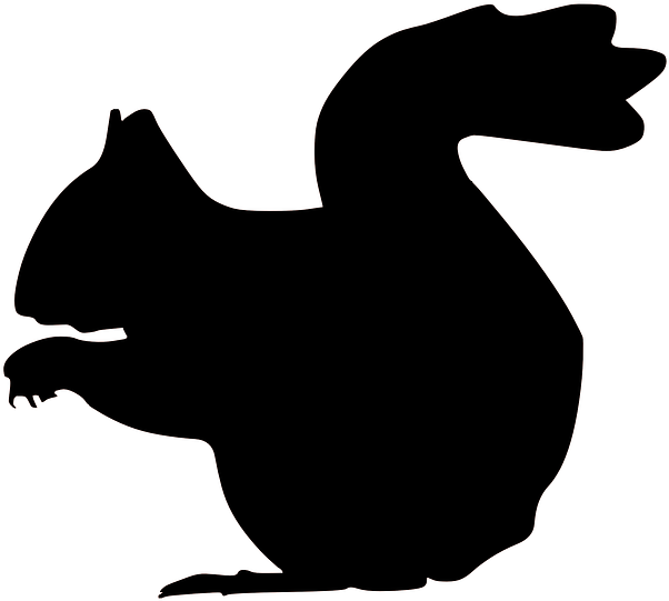 Squirrel Doorzichtig - Squirrel Silhouette Clipart (642x574), Png Download