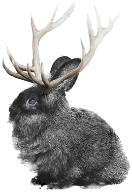 Bunny Elk Png 600px - Rabbit (400x400), Png Download