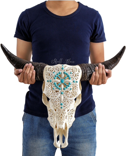 Carved Cow Skull // Xl Horns - Xl Horns (525x525), Png Download