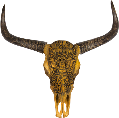 Boho Skull With Antlers Png Banner Transparent Stock - Skull (500x500), Png Download