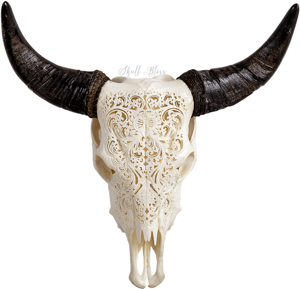 Amazing Carved Cow Skull Xl Horns Flower With Cow Skull - Xl Horns (645x645), Png Download