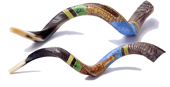 Special Edition Hand Painted - Shofarot (570x296), Png Download