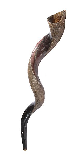 Xxl Yemenite Shofar - Kudu (300x597), Png Download