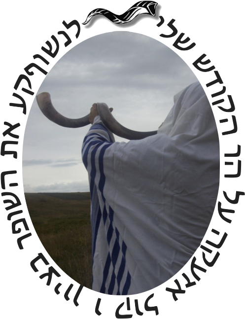 Shofar - So Good - Chagim Uz'manim: An Overview Of The Jewish Holidays (532x768), Png Download