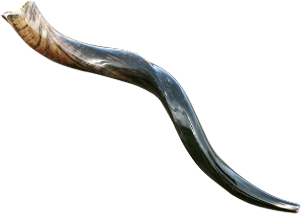 Medium Yemenite Shofar - Shofar Yemenite 25 (650x650), Png Download