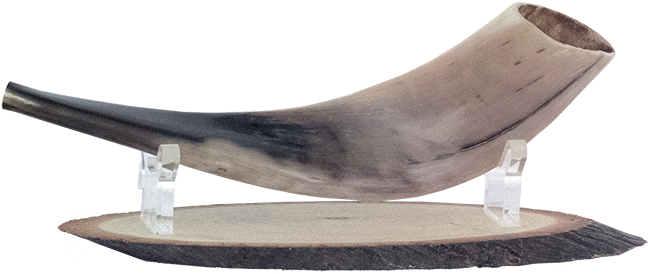 Shofar Wooden With Lucite Stand, Christian, Holy Land, - Shofar (650x650), Png Download