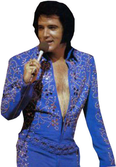 Download Drawing Elvis Presley Png Image With No Back - vrogue.co