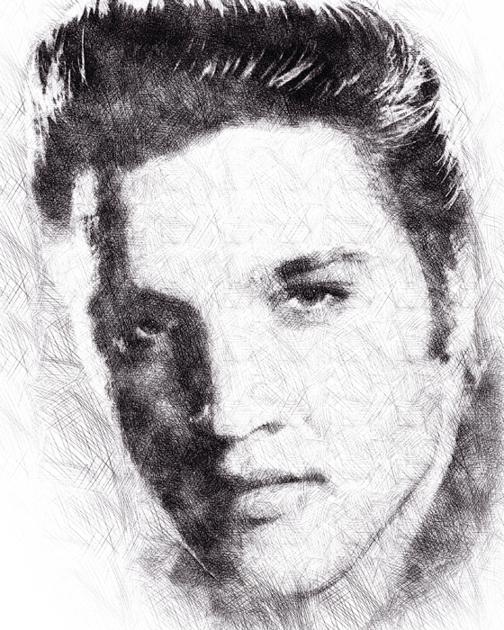 Elvis Presley Portrait - Portrait (560x700), Png Download