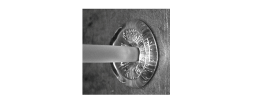 2 Die Drool - Monochrome (860x350), Png Download