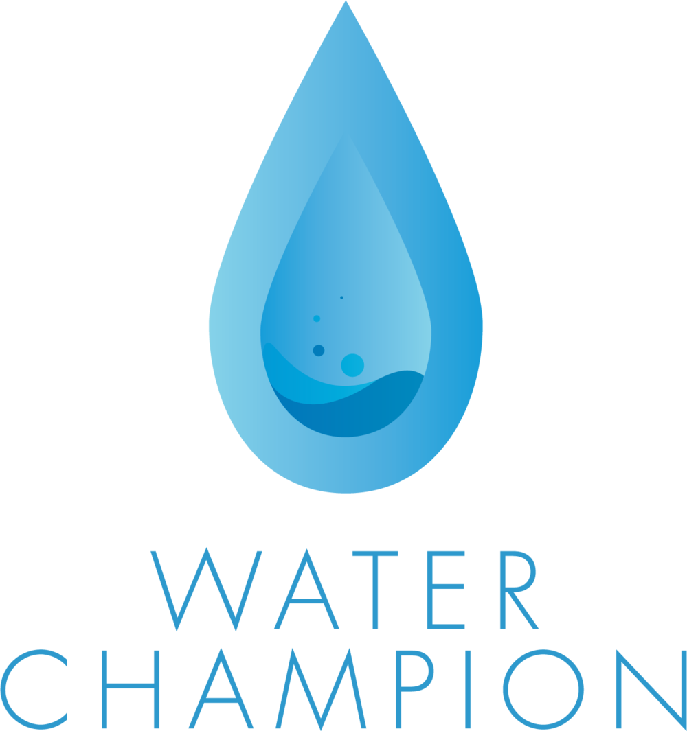 Waterchampion Logo - Business (1000x1065), Png Download