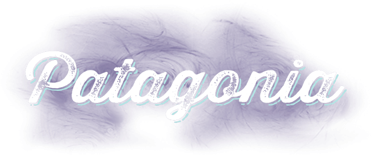 Logo (1) - Patagonia (800x329), Png Download