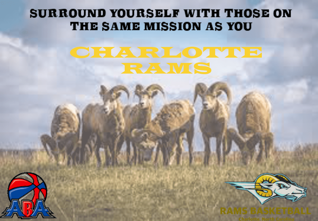 Click On The Rams Logo For Rams T-shirts - Bighorn Sheep Badlands (1076x748), Png Download