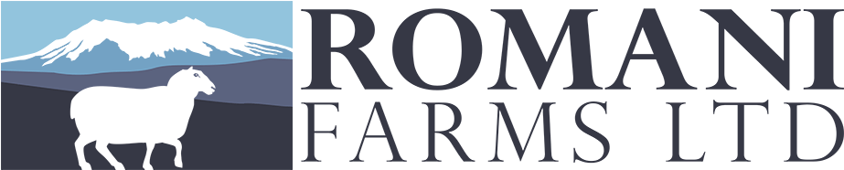 Romani Farms, Coopworth Sheep Breeders And Elite Rams - Coopworth Sheep (949x204), Png Download