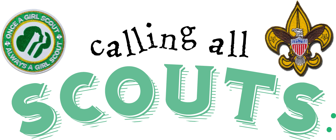 Infinity Offers Educational Programs For Scouts That - Girl Scout (1209x521), Png Download