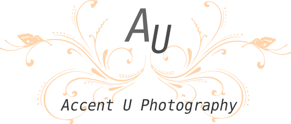 Blue Butterfly Scroll Png Svg Clip Art For Web Download (600x257), Png Download