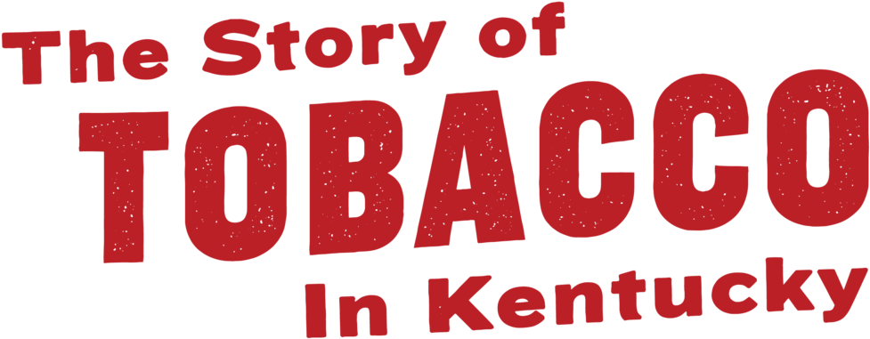 Bs081 Berry Title02-tobacco (1000x405), Png Download