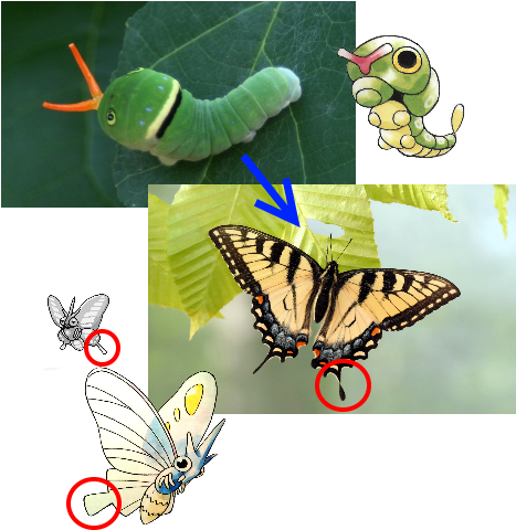 Butterfree - Venonat (500x500), Png Download