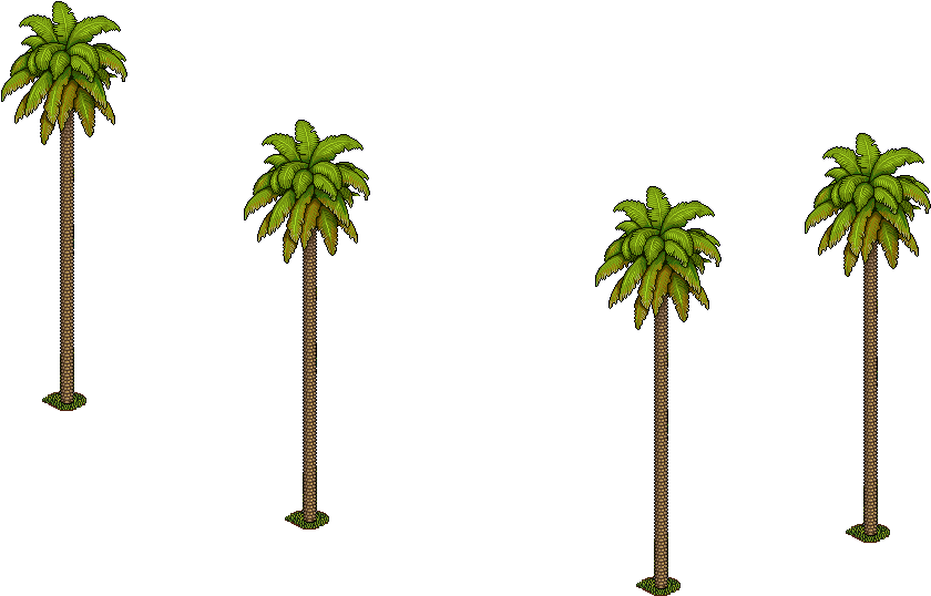 Palmeras - Portable Network Graphics (1280x1024), Png Download