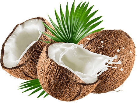 Palmera Aprox Altura Urutek - Z Natural Foods Coconut Milk Powder - Organic 5 Lbs (450x338), Png Download