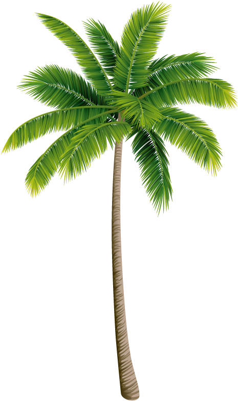 Download Love And If We Go From 椰子 の 木 Full Size Png Image Pngkit