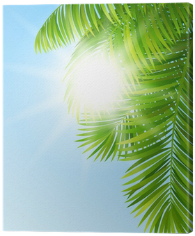 Cuadro En Lienzo Las Ramas De Las Palmeras • Pixers® - Forest (400x400), Png Download