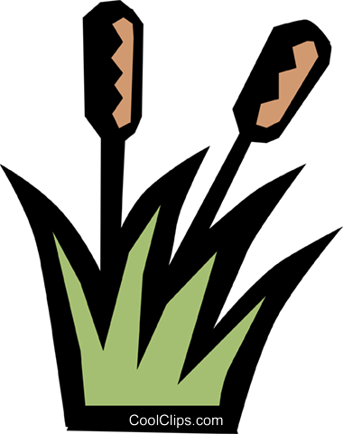 Cattails Royalty Free Vector Clip Art Illustration - Ourboox (380x480), Png Download