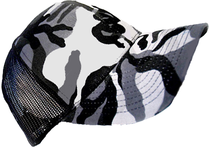 Gorra2 - Gorra De Cani Png (423x297), Png Download