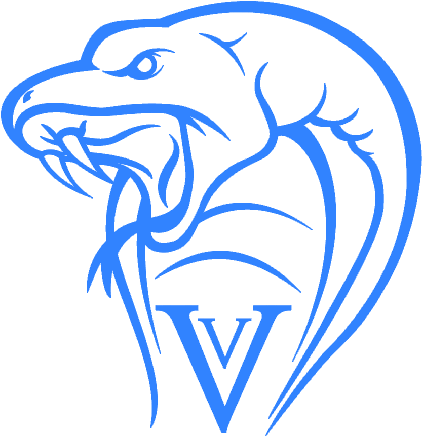 Venom Vapes Now Available - Drawing Of Snake Head (960x960), Png Download