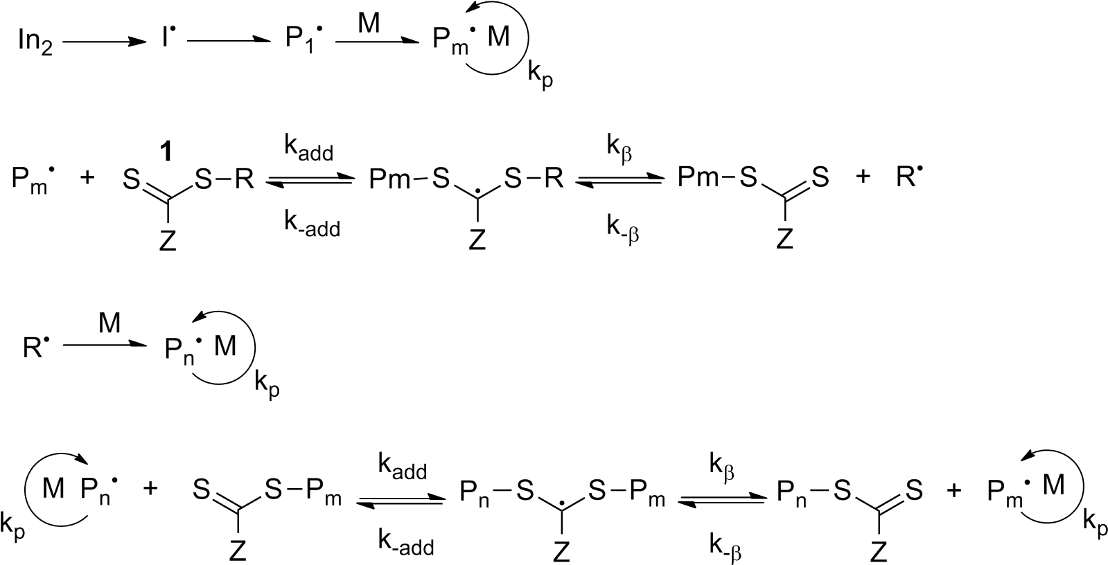 File - Raft - Reversible Addition Fragmentation Chain Transfer Mechanism (1618x834), Png Download