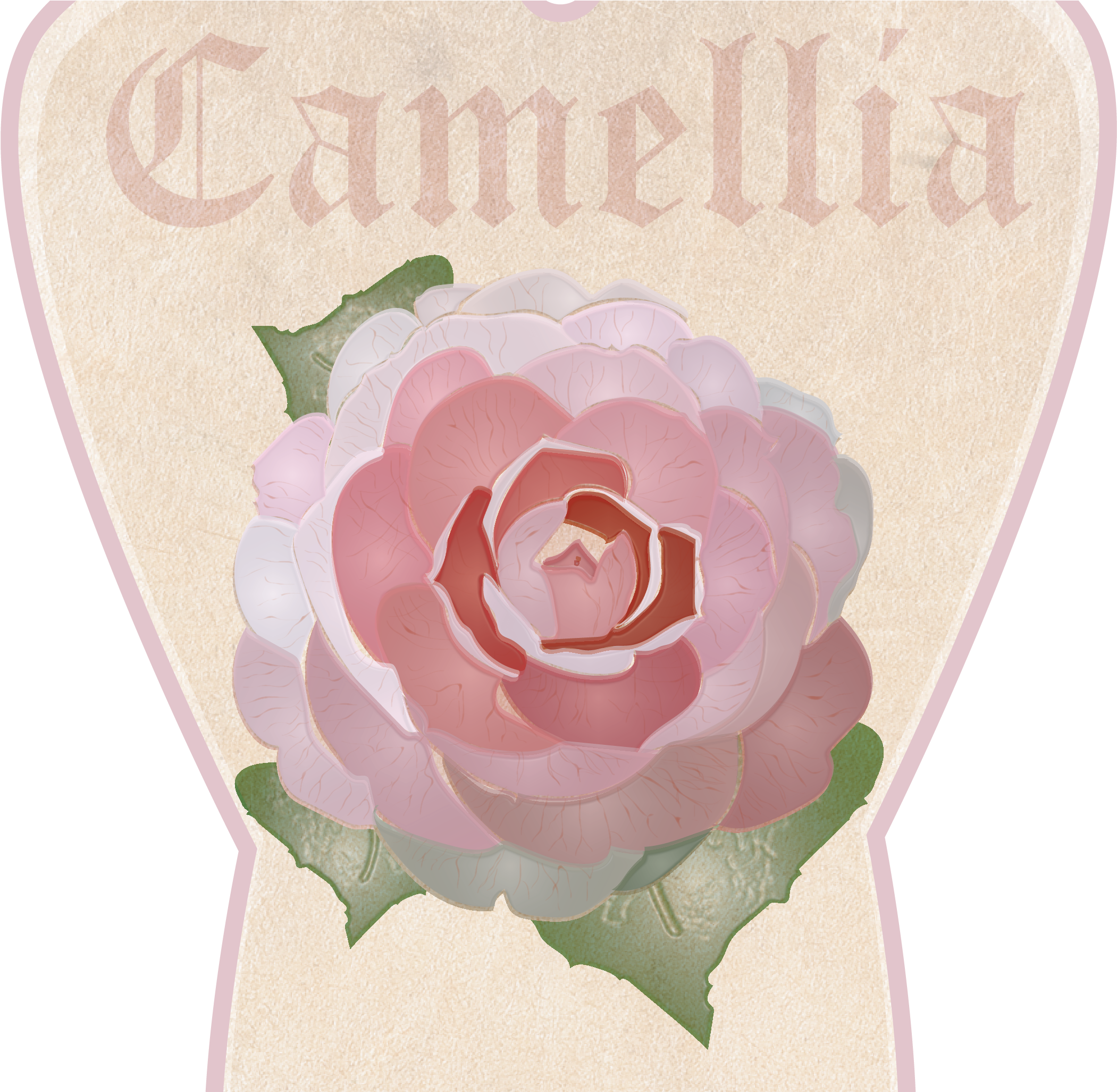 Garden Roses (2625x2053), Png Download