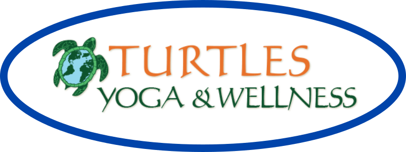 Turtles Yoga & Wellness In Beaverton, Oregon Usa - Students For Obama Rectangle Sticker (800x300), Png Download