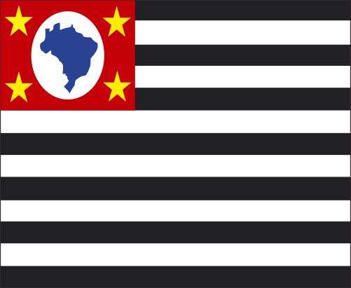 Clique Aqui Para Baixar A Bandeira Do Brasil Em Png - Flag: São Paulo (501x411), Png Download