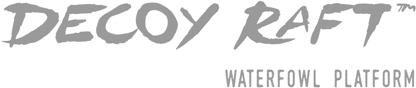 Decoyraft Logo Dark - Portable Network Graphics (1000x224), Png Download