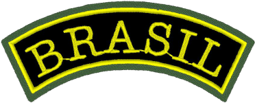 Brasil 01 8x3 Cm - Embroidered Patch (400x570), Png Download