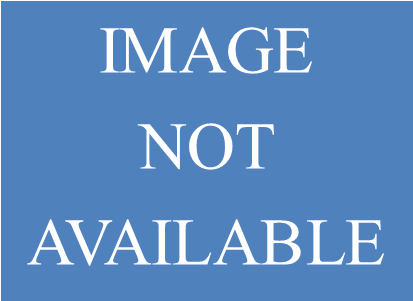 Fdic 040 2010 0 - Swan Lake Boston Ballet (440x333), Png Download