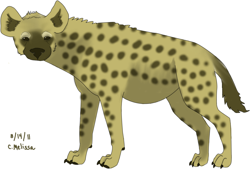 Hyena Png Images - Wallpaper (900x612), Png Download