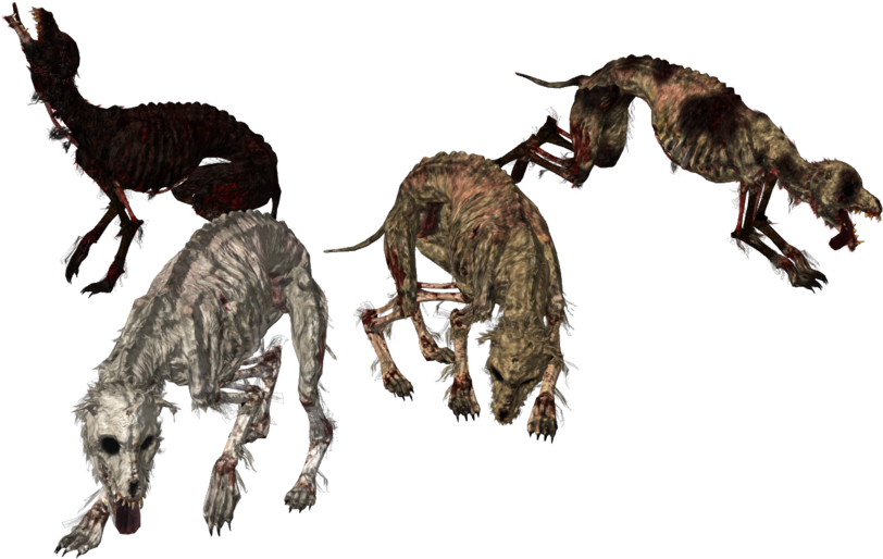 Undead Dogs Xps Mmd Png By Tokami Fuko-dafmtzd - Portable Network Graphics (1025x780), Png Download